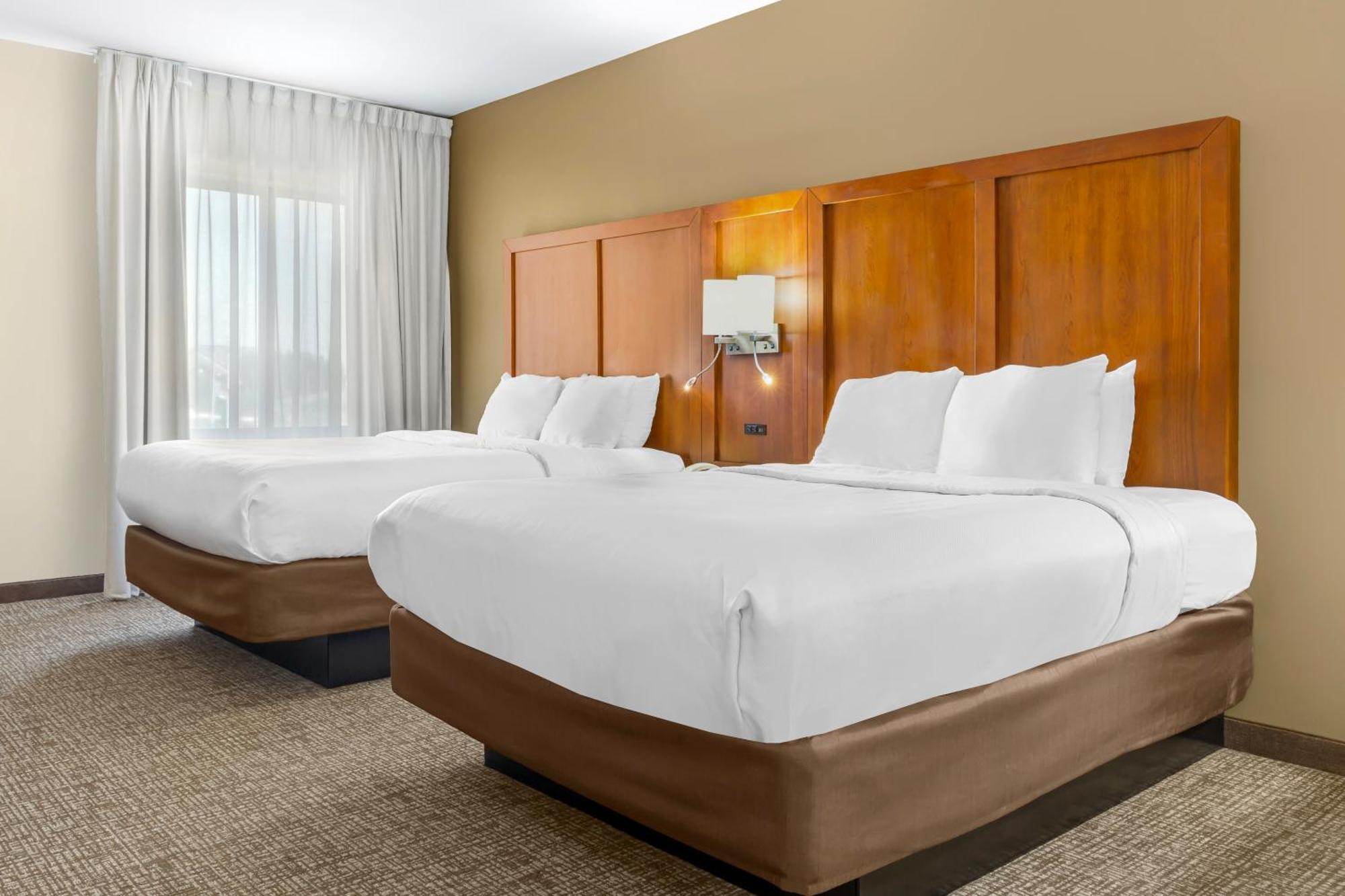 Comfort Greensboro-high Point Hotel Greensboro