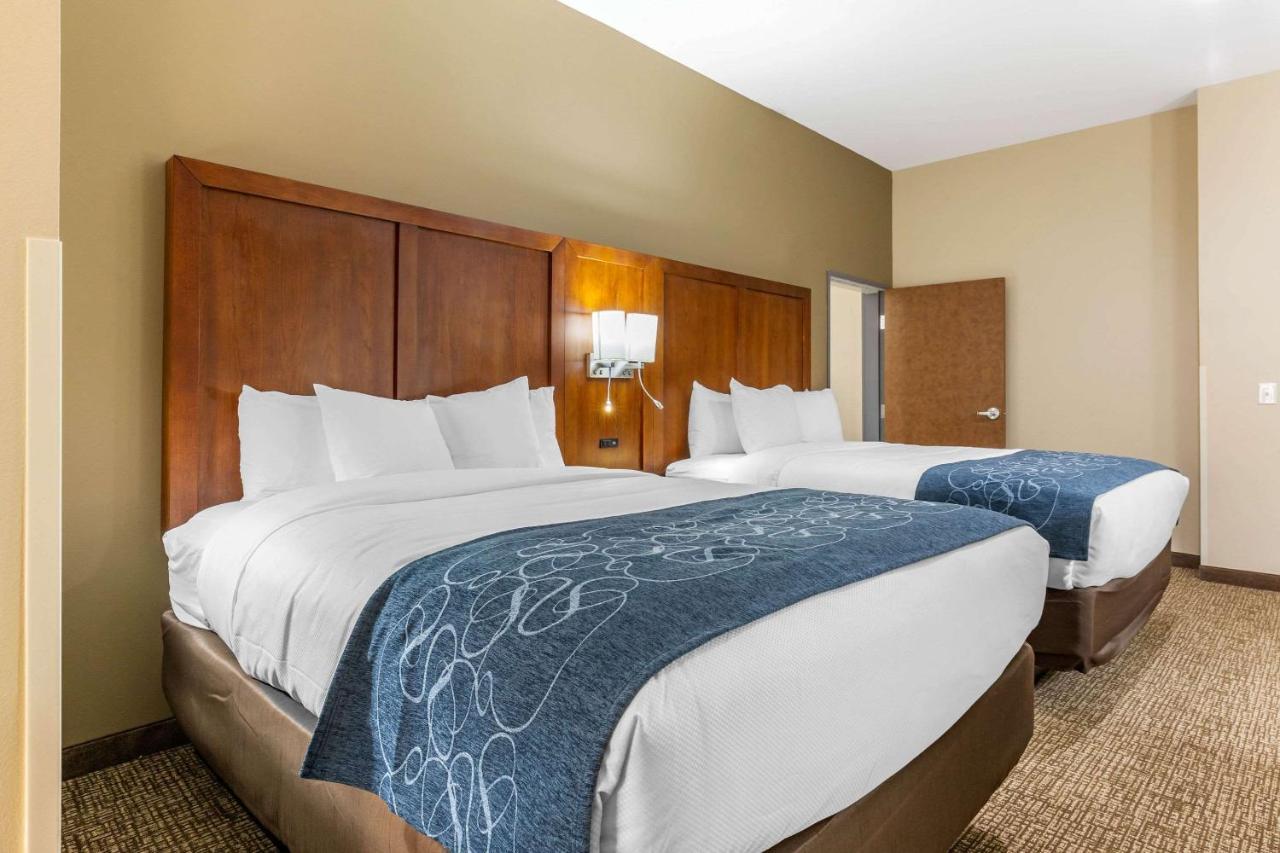 Comfort Greensboro-high Point Hotel Greensboro