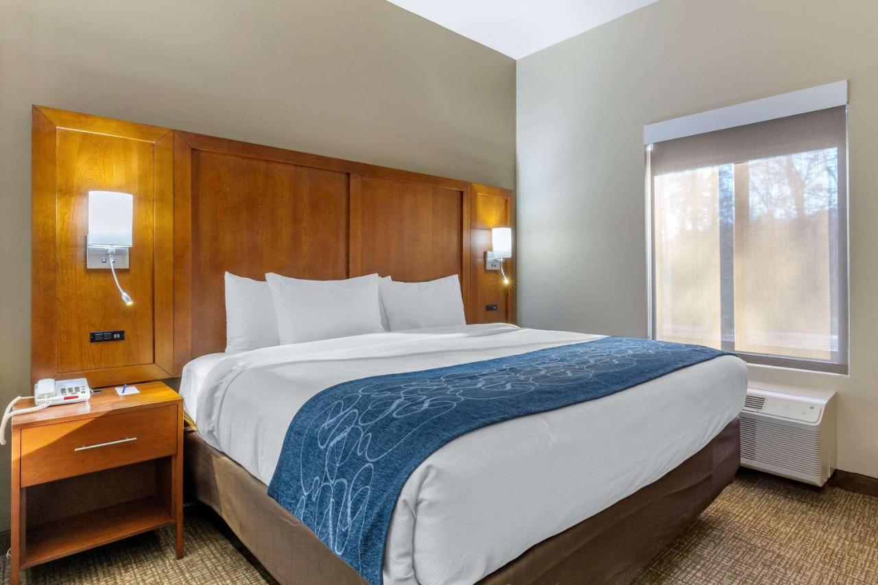 Hotel Comfort Greensboro-high Point